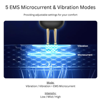 Premium facial rejuvenation device with LED therapy